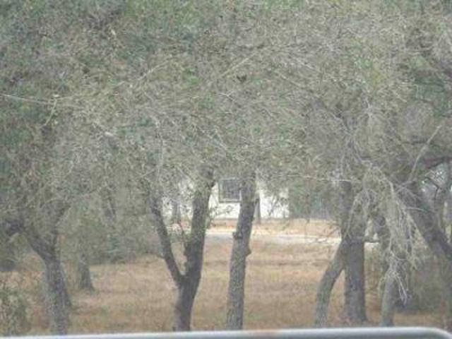 House for sale in Normanna