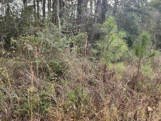 Land for sale in Pass Christian, Mississippi