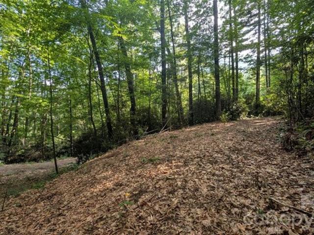 Land for sale in Haywood, North Carolina
