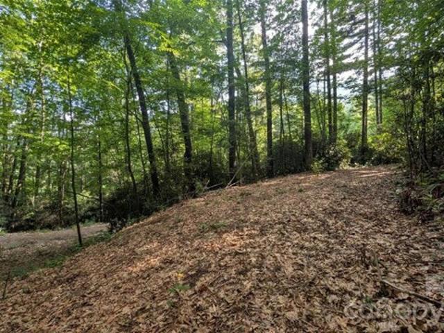 Land for sale in Haywood, North Carolina