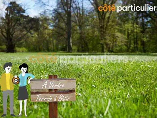Terrain vente à Hautvilliers, Chevreuse