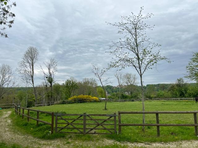 Terrain vente à Chevreuse