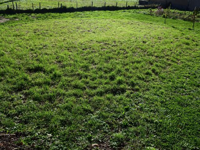 Terrain vente à France métropolitaine, Guadeloupe