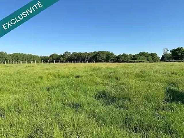 Terrain vente à Torcy, Chevry-cossigny