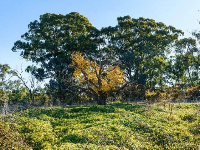 Land for sale in Fryerstown, Victoria