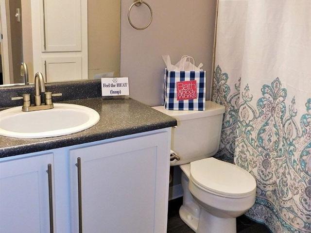 Apartment for rent in Colorado Springs, Colorado