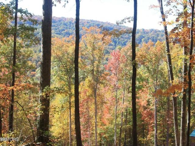 Land for sale in Tennessee