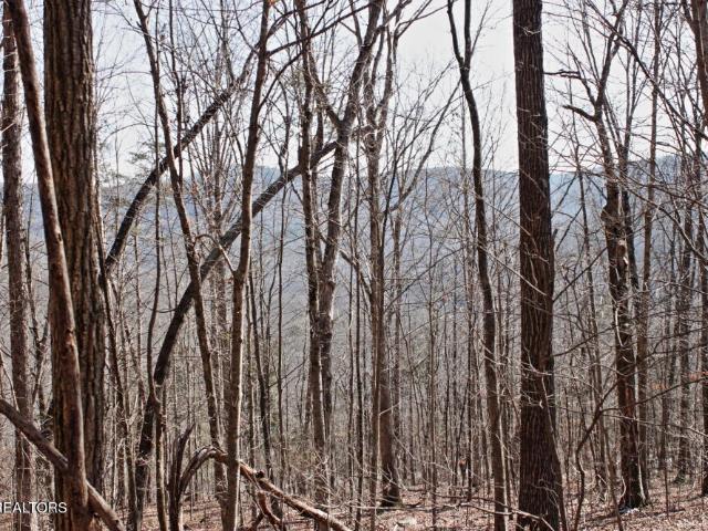Land for sale in Tennessee
