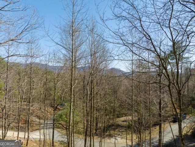 Land for sale in Gilmer, Georgia
