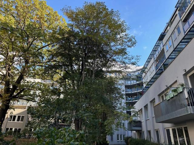 Apartment mieten in KG Leopoldstadt, Wien