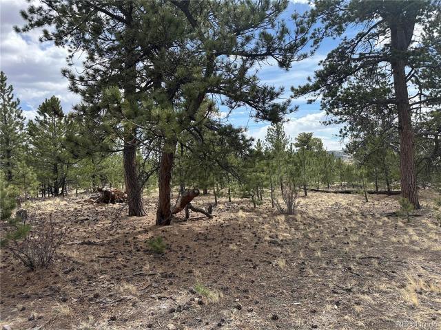 Land for sale in Hartsel, Park County