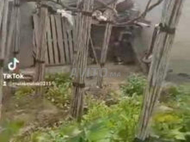 Maison vente à Chichaoua, L'Oriental