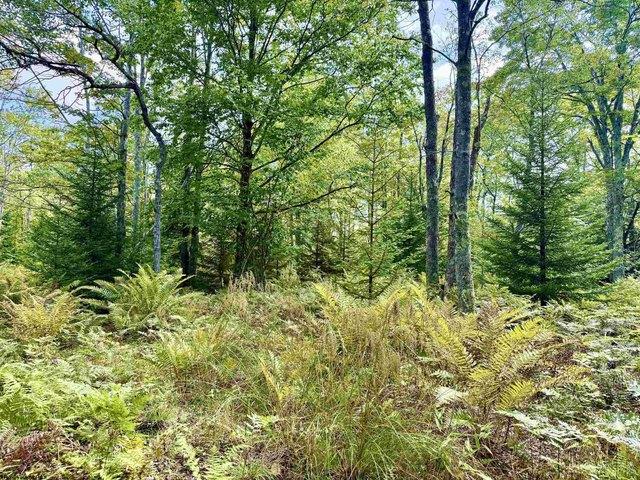 Land for sale in Davis, West Virginia