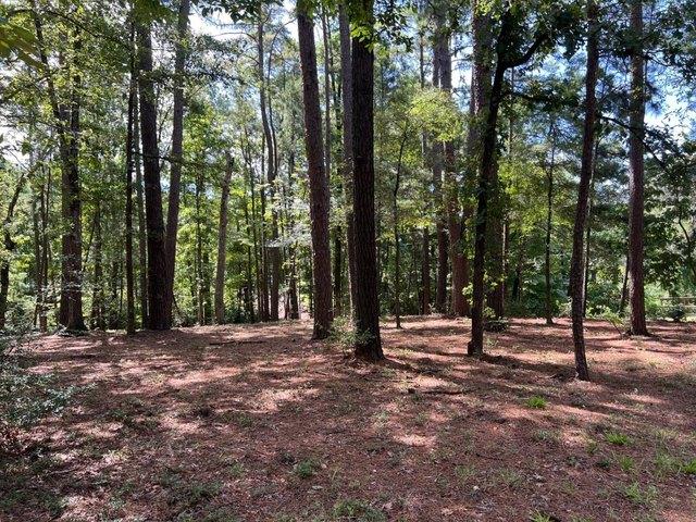 Land for sale in Zwolle, Louisiana