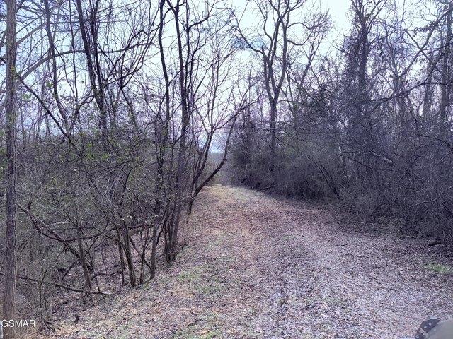 Land for sale in Tennessee