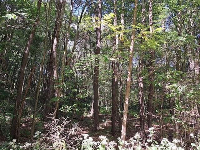 Land for sale in Chicora, Pennsylvania