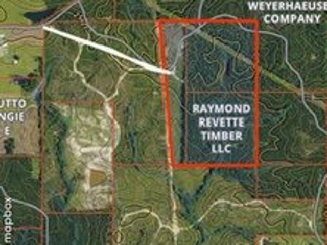 Land for sale in Waynesboro, Mississippi