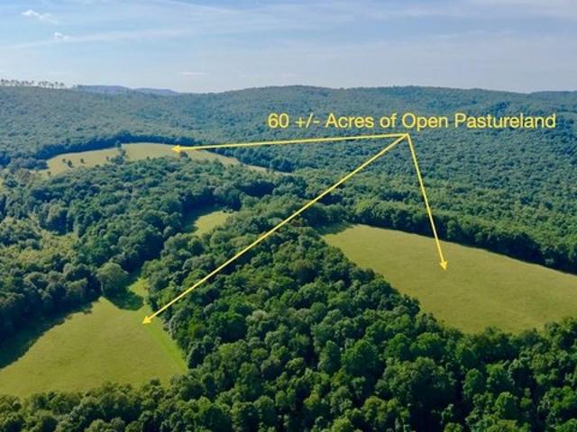 Farm for sale in Terra Alta, West Virginia