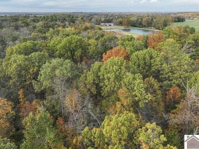 Land for sale in Kevil