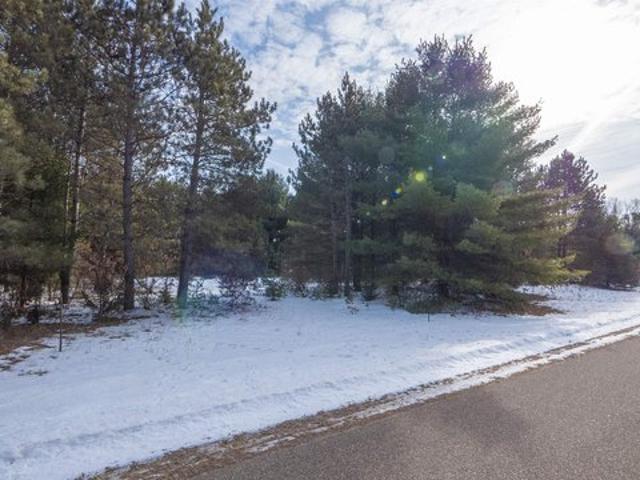 Land for sale in Coloma, Wisconsin