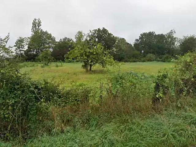 Terrain vente à Pithiviers, Chilleurs-aux-bois