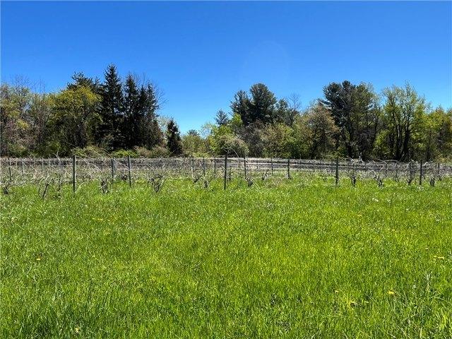 Land for sale in Wolcott, New York