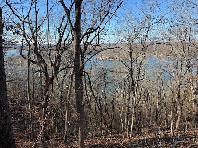Land for sale in Camdenton, Missouri