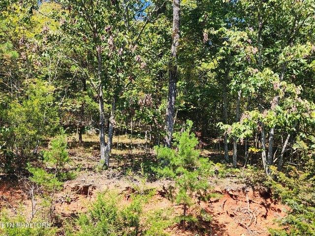Land for sale in Tennessee
