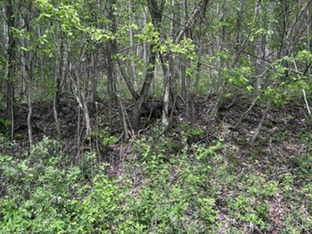 Land for sale in Tennessee