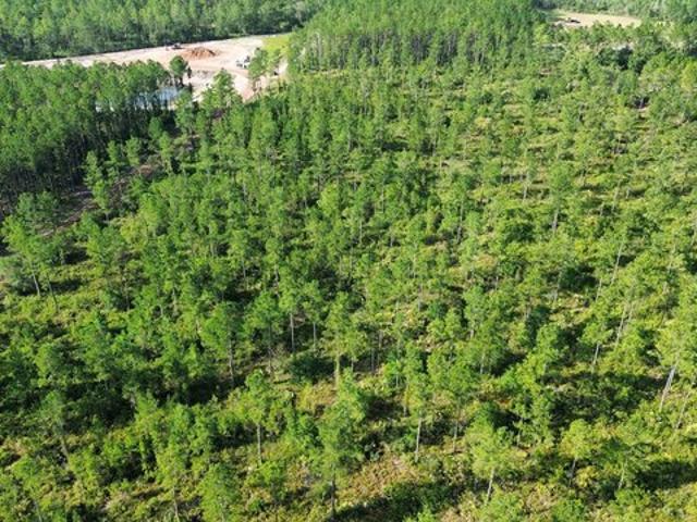 Land for sale in Georgia