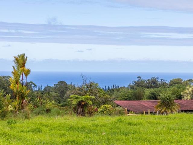Land for sale in Hakalau, Hawaiʻi County