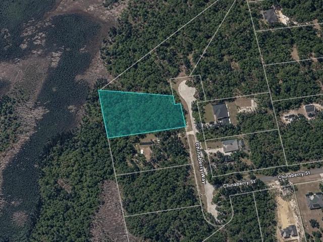 Land for sale in Eustis, Lake County
