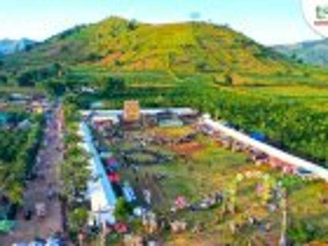 Bất động sản bán