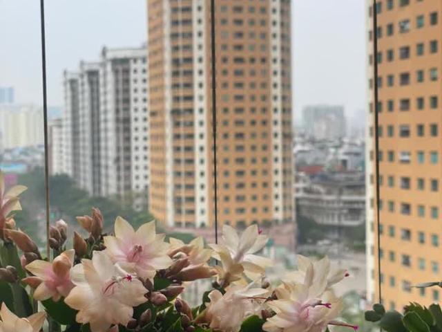 Căn hộ bán tại Hoàn Kiếm, Hà Nội