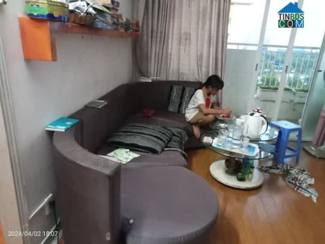 Căn hộ bán tại Thủ Đức, Hồ Chí Minh