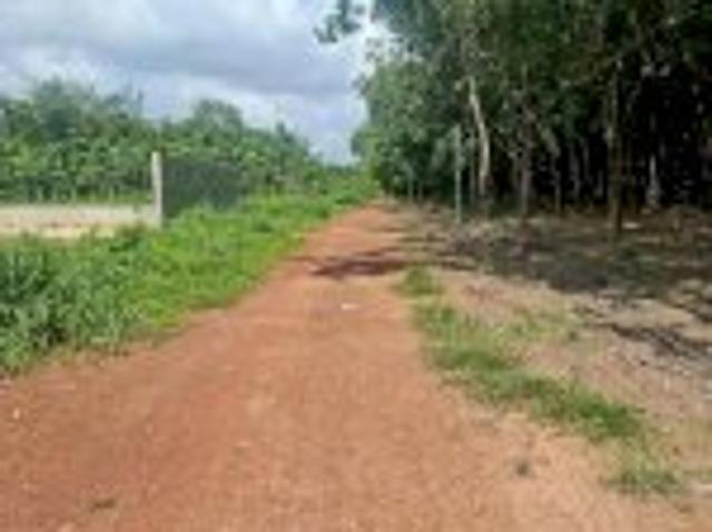 Bất động sản bán tại Gia Lai