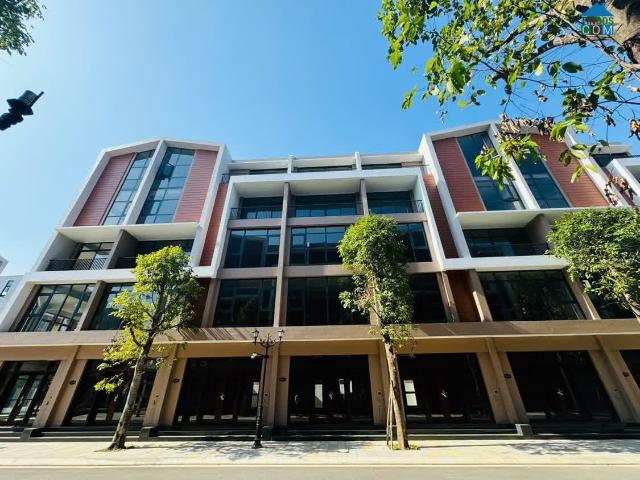 Biệt Thự bán
