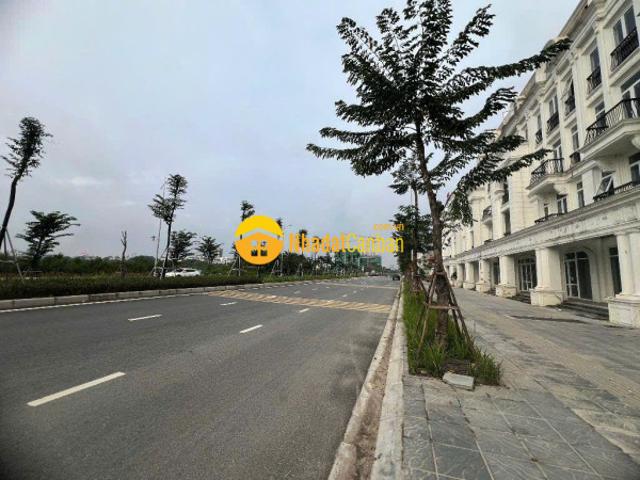 Biệt Thự bán