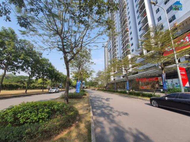 Biệt Thự bán tại Hoàn Kiếm, Hà Nội