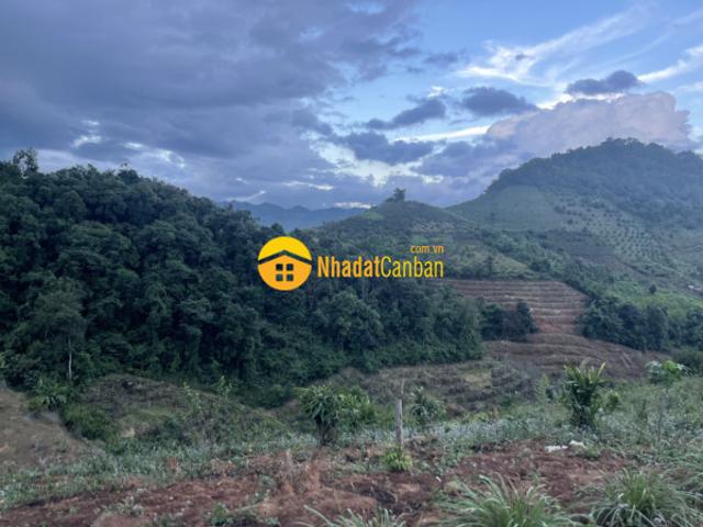Mặt bằng bán