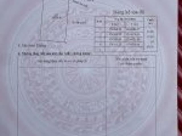 Bất động sản bán tại Lâm Đồng, Tỉnh Tuyên Quang