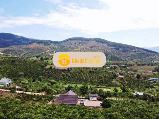 Mặt bằng bán