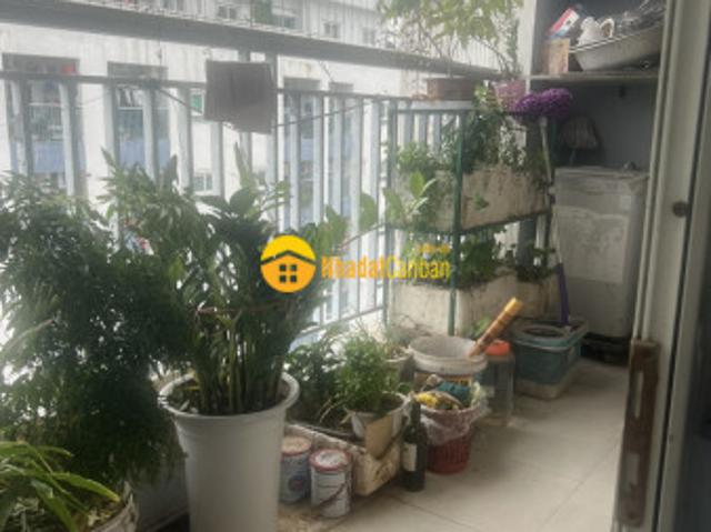 Căn hộ bán