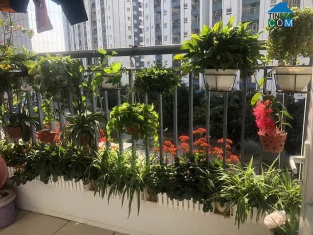 Căn hộ bán tại Hoàn Kiếm, Hà Nội