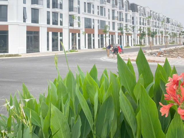 Biệt Thự bán