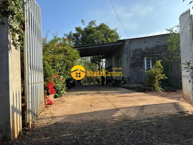 Mặt bằng bán