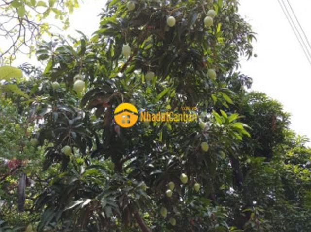 Mặt bằng bán