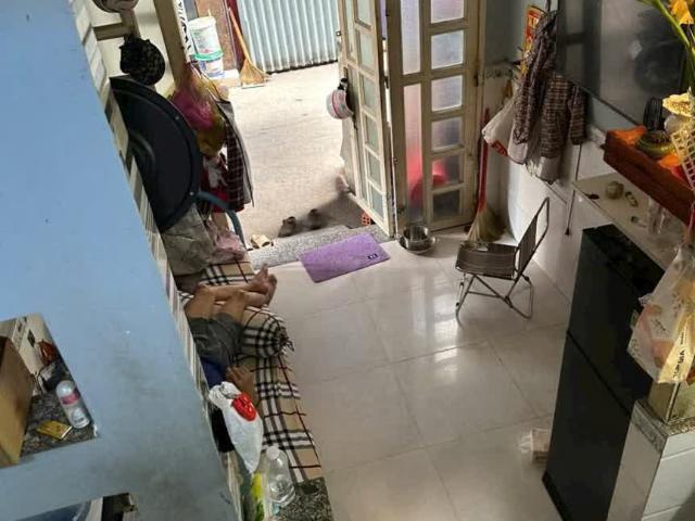 Nhà mặt phố bán tại Khuôn viên UBND Thành phố Hồ Chí Minh, Thành phố Hồ Chí Minh