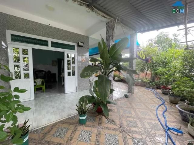 Nhà bán