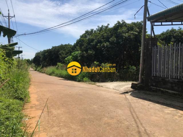 Mặt bằng bán